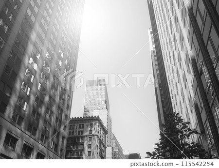 Black and white photo of New York City cityscape, USA. Black and white photo of New York City cityscape, USA. 115542254
