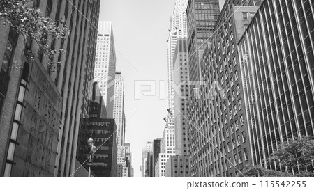 Black and white photo of New York City cityscape, USA. Black and white photo of New York City cityscape, USA. 115542255