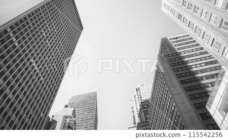 Black and white photo of New York City cityscape, USA. Black and white photo of New York City cityscape, USA. 115542256
