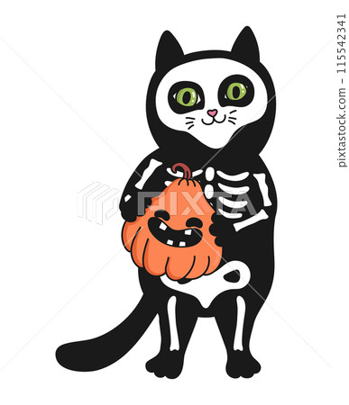 Cute hand drawn cat in skeleton costume holding a smiling pumpkin. Vector illustration Cute hand drawn cat in skeleton costume holding a smiling pumpkin. Vector illustration 115542341