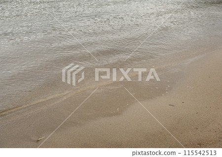 一個海灘 115542513