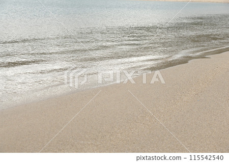 一個海灘 115542540
