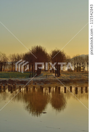 Fukushima-dora in the morning (Niigata) 115542843