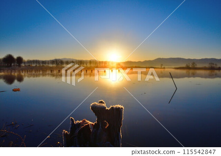 Fukushima-dora in the morning (Niigata) 115542847