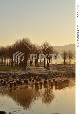 Fukushima-dora in the morning (Niigata) Fukushima-dora in the morning (Niigata) 115542850