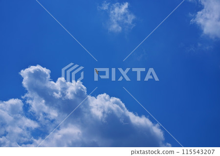 夏天的回憶 115543207