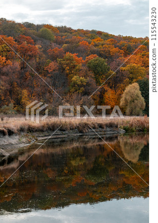 Scenic River with Autumn Trees, Clouds Reflecting Scenic River with Autumn Trees, Clouds Reflecting 115543230
