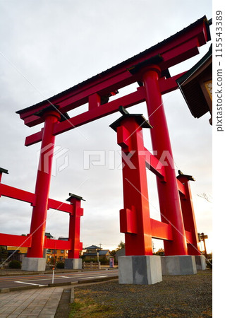 Yahiko Otorii in the morning (Niigata Prefecture) 115543389