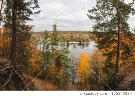 Autumn aerial river in vibrant forest scenery Autumn aerial river in vibrant forest scenery 115543584