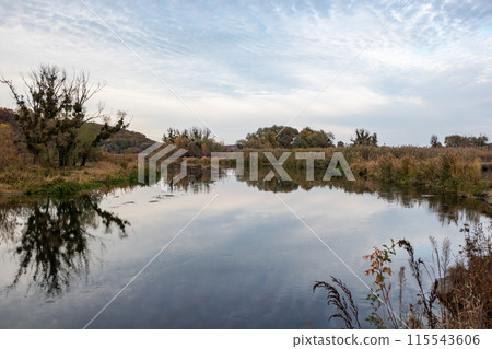 Autumn Nature on Siverskyi Donets River, Ukraine 115543606