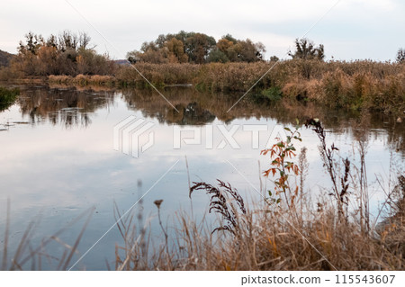 Autumn Nature on Siverskyi Donets River, Ukraine Autumn Nature on Siverskyi Donets River, Ukraine 115543607
