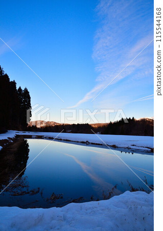 充滿水的稻田，冬天的風景（新潟縣） 115544168