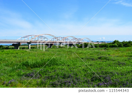 Tosui Bridge over the Tone River, seen from the riverbed on the right bank downstream Tosui Bridge over the Tone River, seen from the riverbed on the right bank downstream 115544343