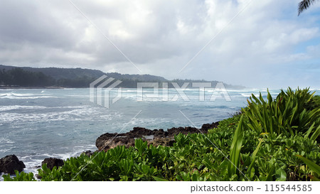Waves Break as they roll towards shore with Coral Rock and trees 115544585