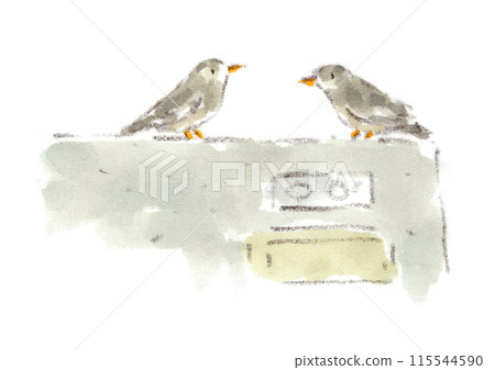 幾隻椋鳥的水彩插圖，它們似乎正在柵欄上交談 115544590