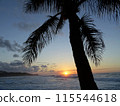 Sunset through the Coconut Tree over ocean with Waves rolling 115544618