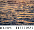 Sunset light reflects on Ocean Water 115544621