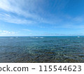 Shallow ocean waters of Waikiki looking into ocean 115544623