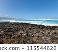 Waves Break on Coral Rock Shore 115544626