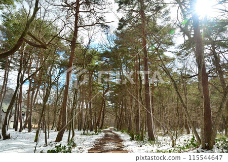 The Road to Spray Ice (Fukushima Prefecture) 115544647