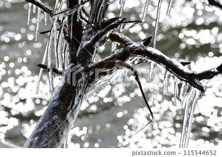 潑冰（福島縣） 115544652