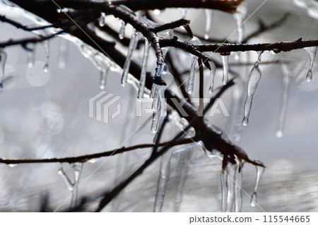 Spray ice (Fukushima Prefecture) 115544665