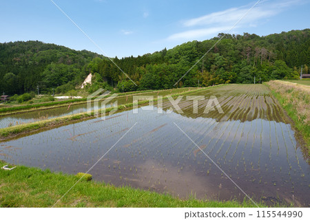 <Shimane Prefecture> Okuizumo Town, Ohara Shinden rice terraces, May 115544990
