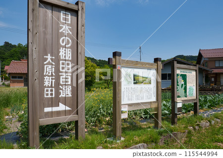 <Shimane Prefecture> Okuizumo Town, Ohara Shinden, rice terrace sign, May 115544994