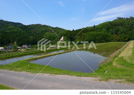 <島根縣>奧出雲町大原新田梯田風景五月 <島根縣>奧出雲町大原新田梯田風景五月 115545004