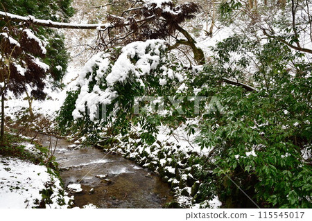 Jikoji Temple approach (Niigata Prefecture) 115545017