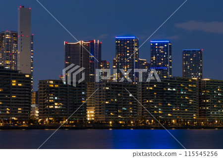 Tokyo night view: Scenery from Toyosu Gururi Park 115545256