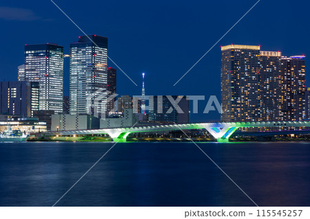 Tokyo night view: Scenery from Toyosu Gururi Park Tokyo night view: Scenery from Toyosu Gururi Park 115545257