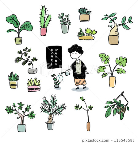 植物插圖顏色 115545595