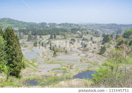 Niigata Star Pass的水稻露台 Niigata Star Pass的水稻露台 115545751