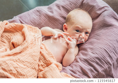 A newborn lies in his cozy cocoon on muslin swaddles. This serene moment captures the comfort and security of a newborn, highlighting the gentle care and nurturing environment A newborn lies in his cozy cocoon on muslin swaddles. This serene moment captures the comfort and security of a newborn, highlighting the gentle care and nurturing environment 115545817