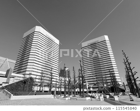 Makuhari Techno Garden floating in the blue sky (monochrome) 115545840