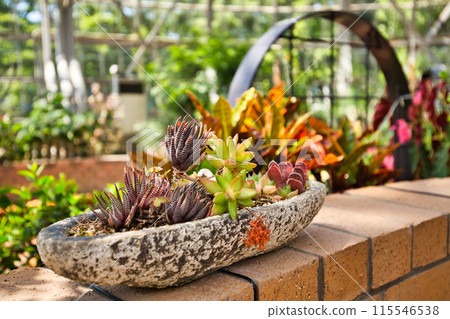 綠色中心春天 115546538