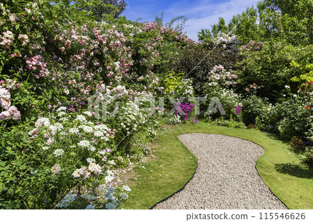 Rose Garden Rose Garden 115546626