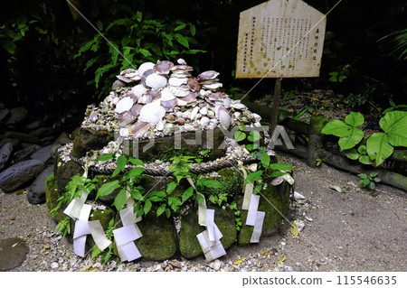 真子貝殼圖案 真子貝殼圖案 115546635