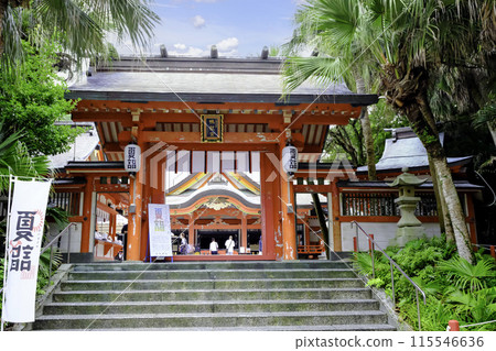 初夏的青島神社大門 115546636