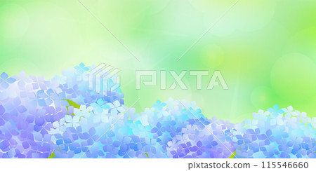 Hydrangea rainy season sky flower background 115546660