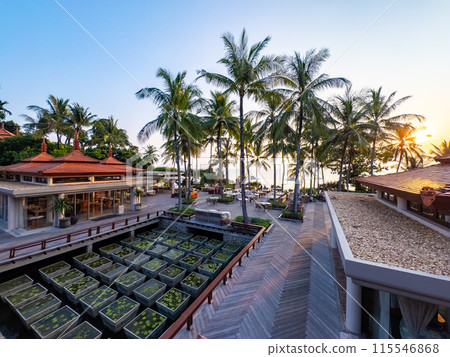 Restaurant bar on the beach in trisara beach in Bang Tao, Phuket, Thailand 115546868