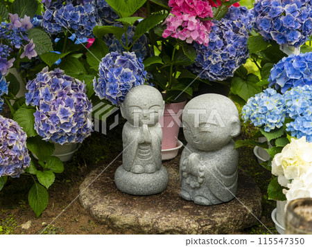 Hydrangea flowers and Jizo statues decorated by the water 115547350