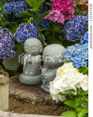 Hydrangea flowers and Jizo statues decorated by the water 115547356