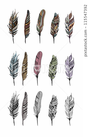 Set of ethnic feathers Set of ethnic feathers 115547392