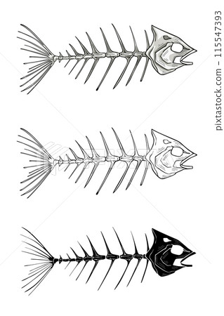 Skeletons of Fishes, isolated vector illustration 115547393