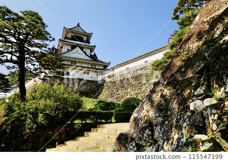 藍天下的高知城 藍天下的高知城 115547399