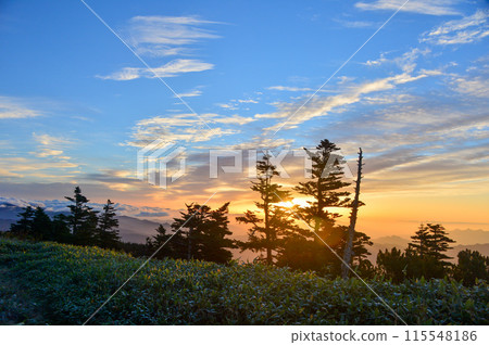 Sky dyed in sunset 115548186