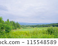 北海道的綠色風景 115548589