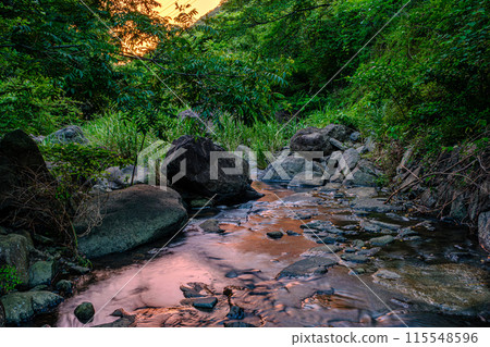 Summer sunset river Shodoshima, Kagawa Prefecture Natural scenery 115548596